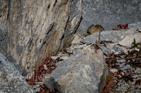 untitled_October 01, 2018_00040-PSedit