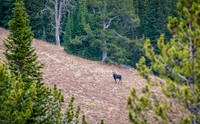 untitled_October 02, 2018_00100-HDR-PSedit
