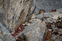 untitled_October 01, 2018_00041-PSedit-PSedit