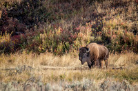 untitled_October 03, 2018_00014-PSedit