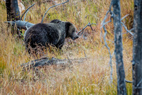 untitled_October 02, 2018_00384-PSedit-PSedit