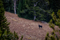 untitled_October 02, 2018_00200-PSedit