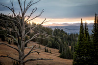 untitled_October 02, 2018_00202-PSedit-PSedit
