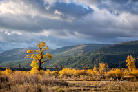 untitled_October 03, 2018_00020-2-HDR-PSedit-PSedit