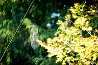 untitled_September 20, 2014_00002