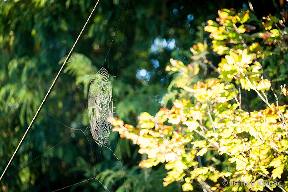untitled_September 20, 2014_00002