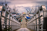 untitled_September 23, 2014_00026-PSedit