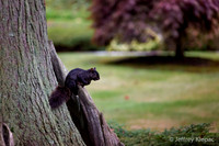 untitled_September 23, 2014_00006-3-Edit