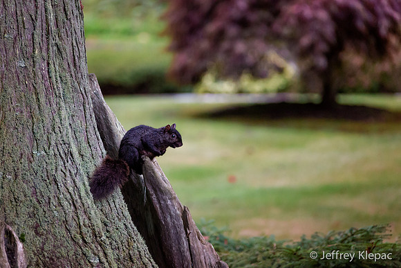 untitled_September 23, 2014_00006-3-Edit