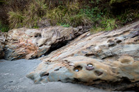 untitled_September 22, 2014_00024