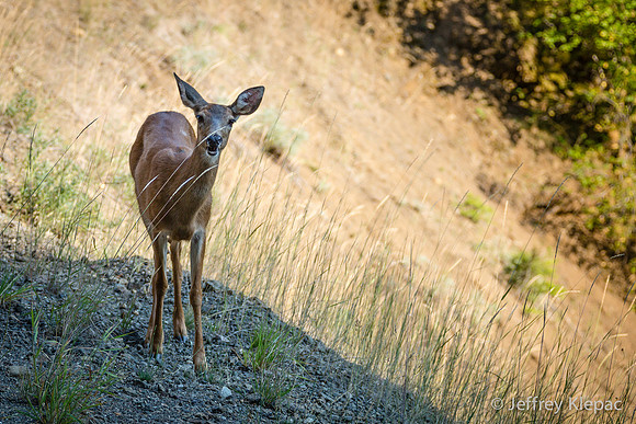 untitled_September 21, 2014_00108-2