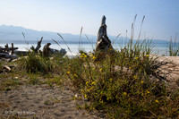 untitled_September 21, 2014_00078