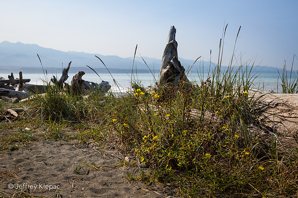 untitled_September 21, 2014_00078