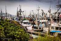 untitled_September 23, 2014_00021-PSedit
