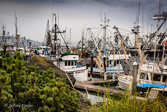 untitled_September 23, 2014_00021-PSedit