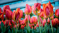 untitled_April 01 2016_00014-PSedit