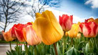 untitled_April 01 2016_00006-PSedit-2
