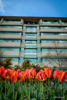 untitled_April 01, 2016_00016-PSedit