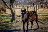 untitled_December 19, 2021_00024-PSedit