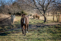 untitled_December 19, 2021_00020-PSedit