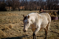 untitled_December 19, 2021_00029-PSedit