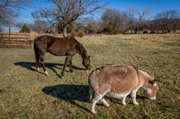 untitled_December 19, 2021_00027-PSedit