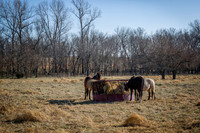 untitled_December 19, 2021_00028-PSedit