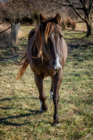 untitled_December 19, 2021_00022-PSedit