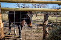 untitled_December 19, 2021_00006-PSedit