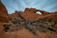 untitled_April 16, 2018_00076-PSedit
