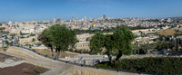 _L3A7508-Pano