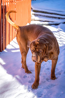 untitled_February 13, 2020_00002-PSedit