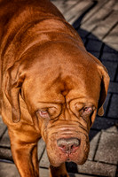 untitled_February 13, 2020_00014-PSedit