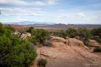untitled_May 30, 2015_00017