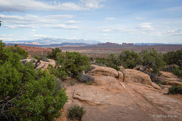 untitled_May 30, 2015_00017
