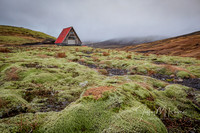untitled_November 22, 2018_00056-PSedit-PSedit