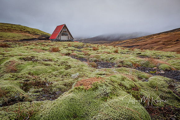 untitled_November 22, 2018_00056-PSedit-PSedit