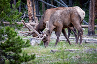 untitled_June 08, 2017_00144-PSedit