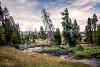 untitled_August 20, 2014_00051-PSedit