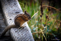 untitled_August 20, 2014_00079-PSedit
