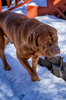 untitled_February 13, 2020_00009-PSedit-2