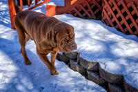 untitled_February 13, 2020_00009-PSedit