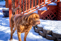 untitled_February 13, 2020_00007-PSedit