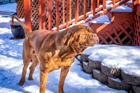 untitled_February 13, 2020_00006-PSedit