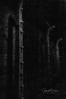 untitled_October 06, 2021_00020-PSedit-PSedit