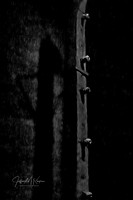 untitled_October 06, 2021_00019-PSedit-PSedit-2