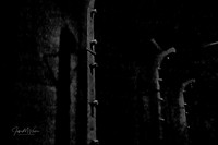untitled_October 06, 2021_00019-PSedit-PSedit
