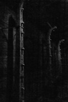 untitled_October 06, 2021_00020-PSedit