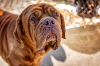 untitled_February 13, 2020_00015-PSedit