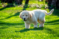 untitled_April 11, 2021_00020-2-PSedit